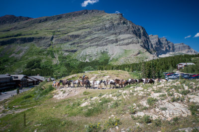 Glacier-33.jpg