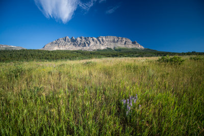 Glacier-36.jpg