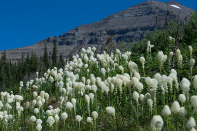 Glacier-63.jpg