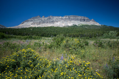 Glacier-68.jpg