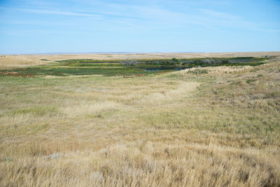 Grasslands-21.jpg