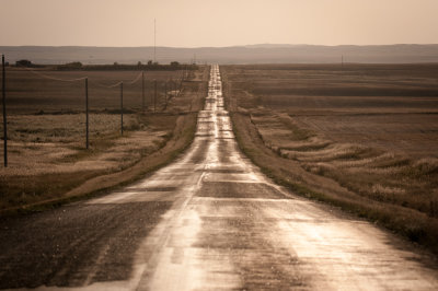 Grasslands-26.jpg