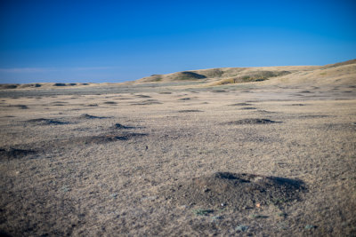 Grasslands-29.jpg