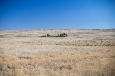 Grasslands-35.jpg