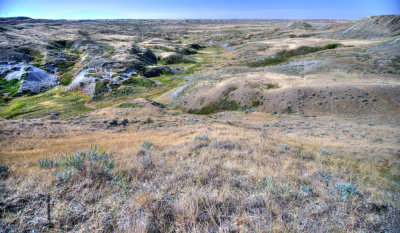 Grasslands-40.jpg