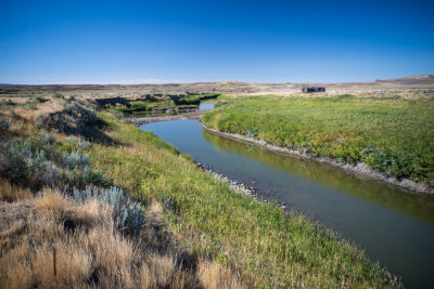 Grasslands-42.jpg