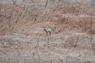 SD Badlands-52.jpg