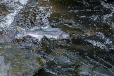 Valdez-13.jpg