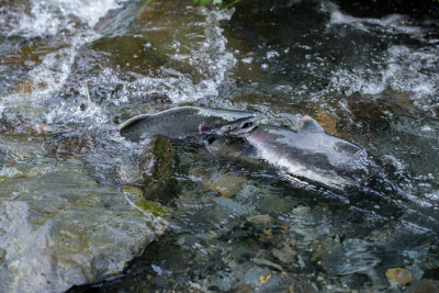 Valdez-14.jpg
