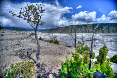 Yellowstone-13.jpg