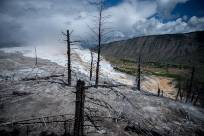 Yellowstone-18.jpg