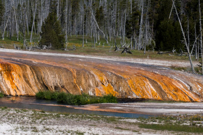 Yellowstone-59.jpg