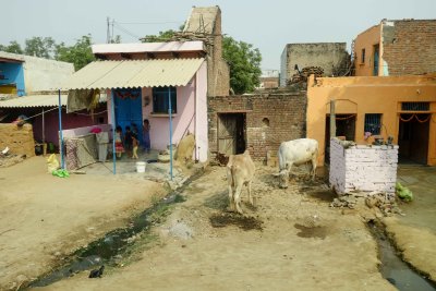 Agra-113.jpg