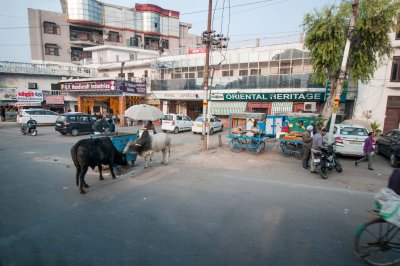 Agra-13.jpg