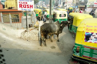 Agra-42.jpg