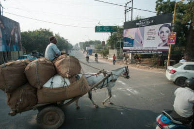 Jaipur-10.jpg