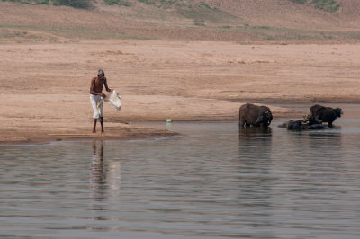 Jaipur-34.jpg