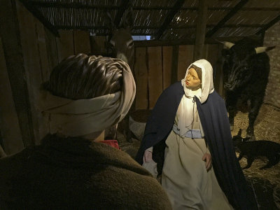 's-Hertogenbosch, RK kathedrale basiliek st Jan Kerststal 2017 [011] 3776.jpg