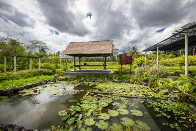 inside Warung Palau Kelapa 