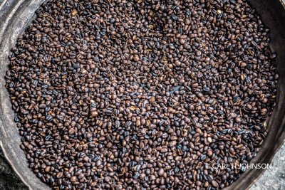 Fresh roasted coffee beans
