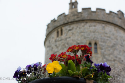 WINDSOR CASTLE