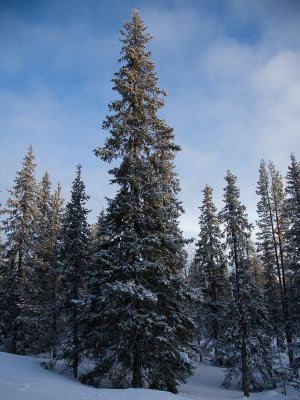 Finland