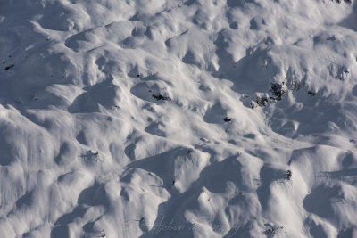 Snow Texture South Side of Mt Chaval