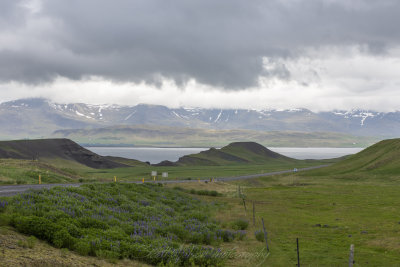 Overlooking the town of Grundartangi and Foraging-Hvalfjordour
