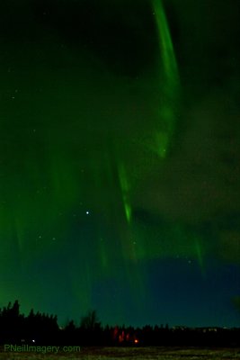 IMG_0726.JPG