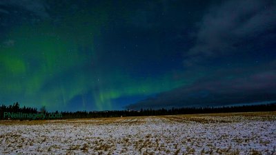 IMG_0830.JPG