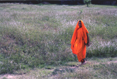 Safron Monk