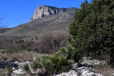 Guadalupe Mountains National Park, March 2017