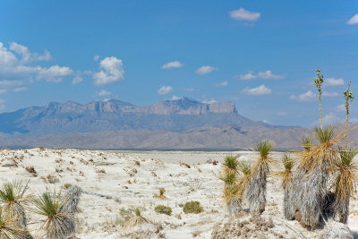 White Sands National Monument/Park, March 2017