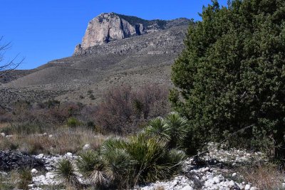 Guadalupe Mountains  Texas, Mar 2017