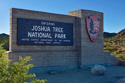 Joshua Tree, California