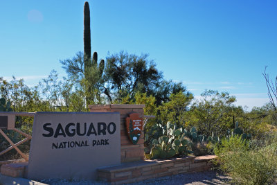Saguaro, Arizona
