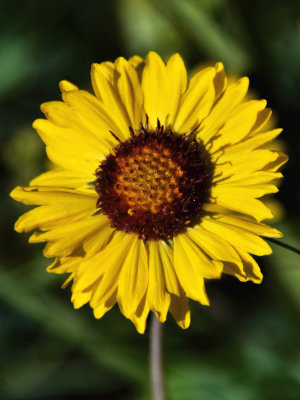 J72_7608p.jpg