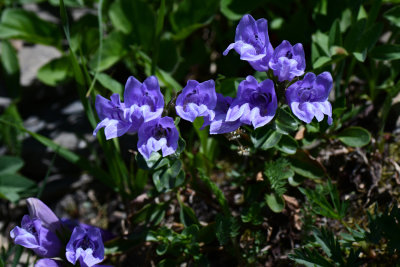 JT5_4528p.jpg
