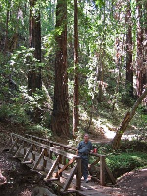 Pfeiffer-BigSur_5p.jpg