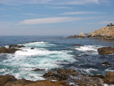 Point Lobos State Natural Reserve, California, August 2002