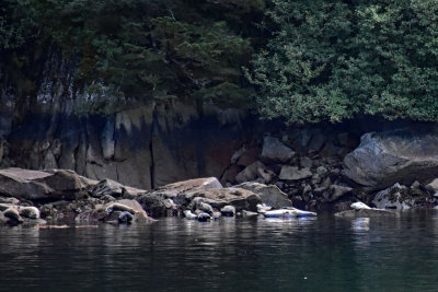 J72_3269p.jpg