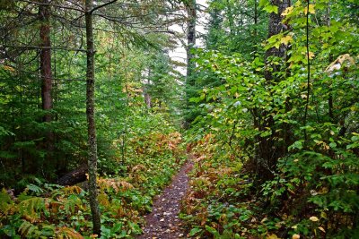 JT5_0349p.jpg