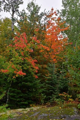 JT5_0357p.jpg