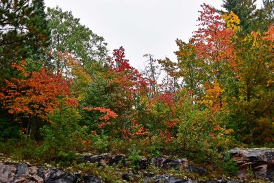 JT5_0433p.jpg