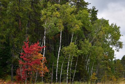 JT5_0562p.jpg