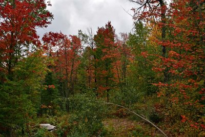 JT5_0563p.jpg
