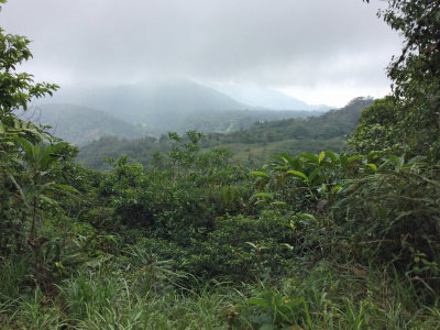 Panama 2017