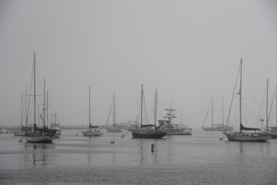 Monterey Morning Fog