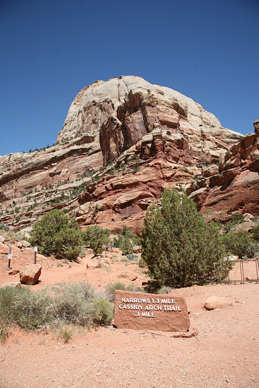 Road That Leads to The Grand Wash Trail