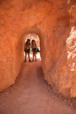 One of Many Tunnels